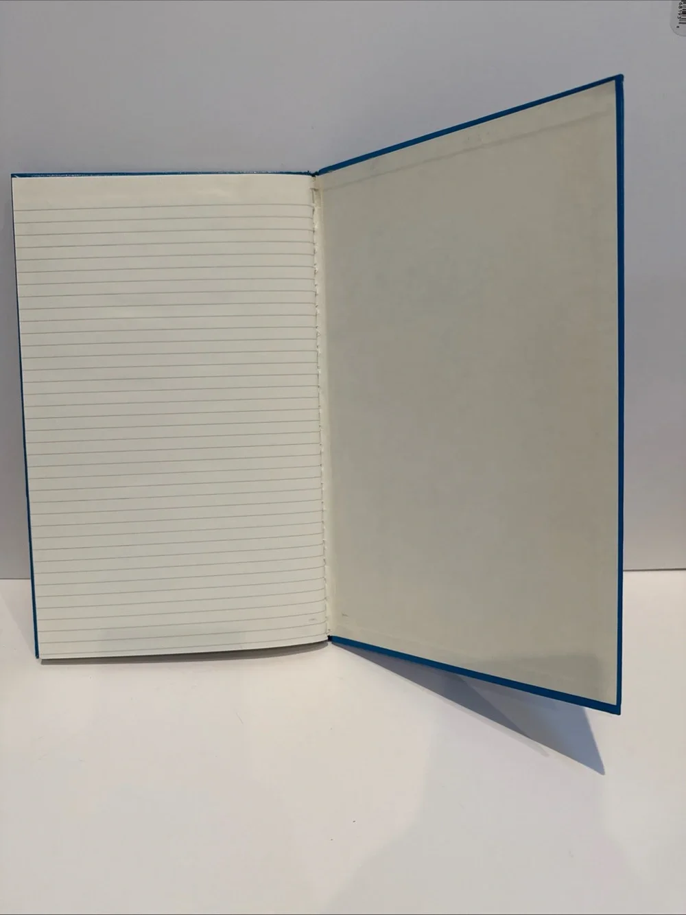 Woolworth VTG Double Entry Ledger account ledger Collectable.